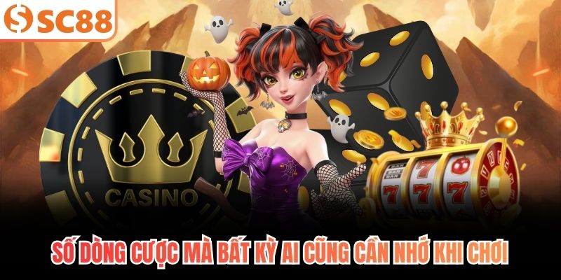 Số dòng cược mà bất kỳ ai cũng cần nhớ khi chơi