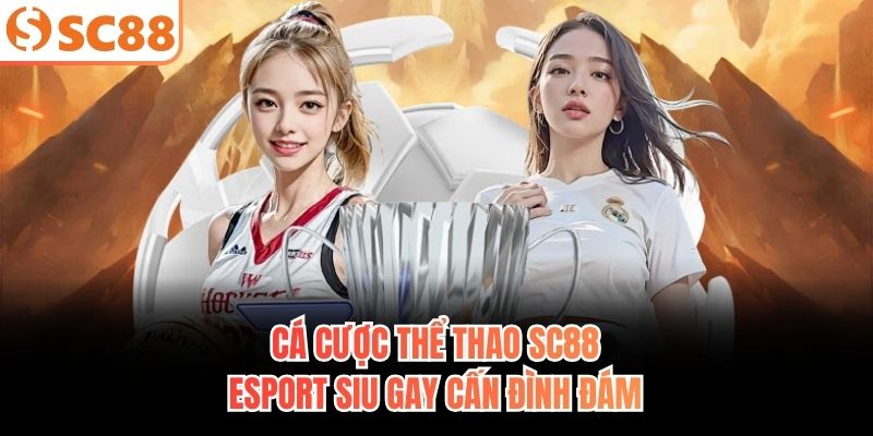 Tỷ lệ hoàn trả của thể thao tại SC88 cao và cạnh tranh